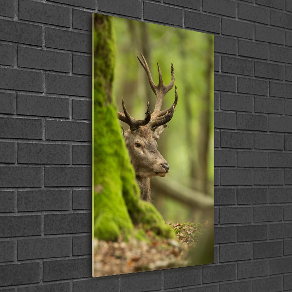 Wall art acrylic Deer