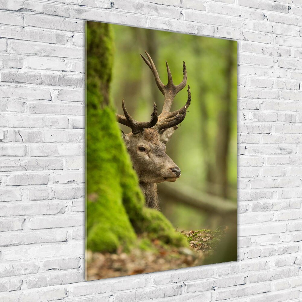 Wall art acrylic Deer