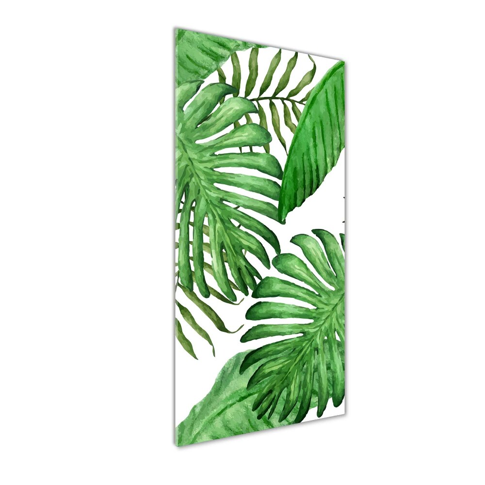 Acrylic glass print Tropical leaves