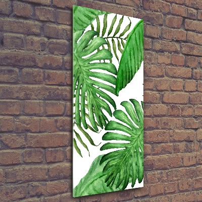 Acrylic glass print Tropical leaves