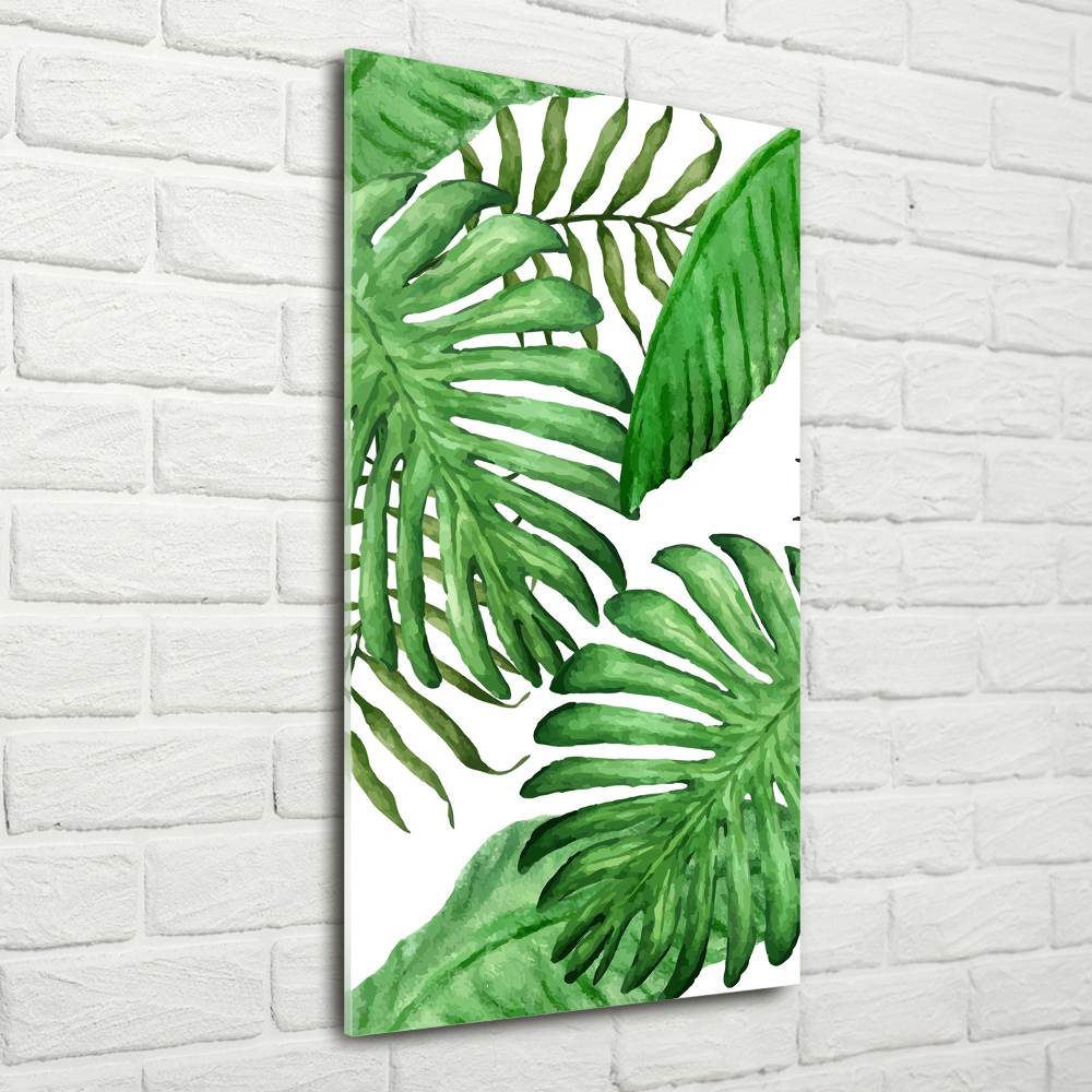 Acrylic glass print Tropical leaves