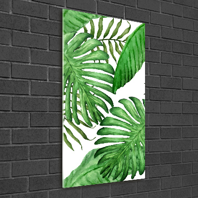 Acrylic glass print Tropical leaves