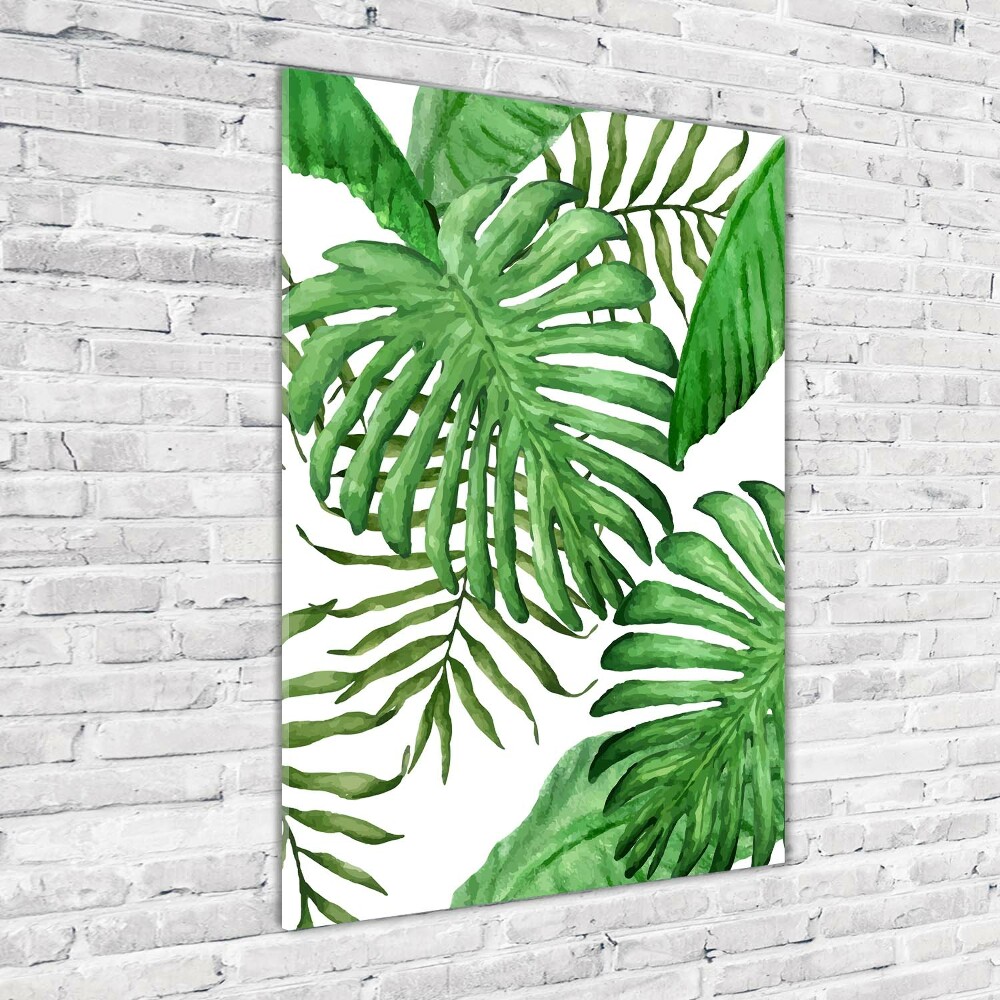 Acrylic glass print Tropical leaves