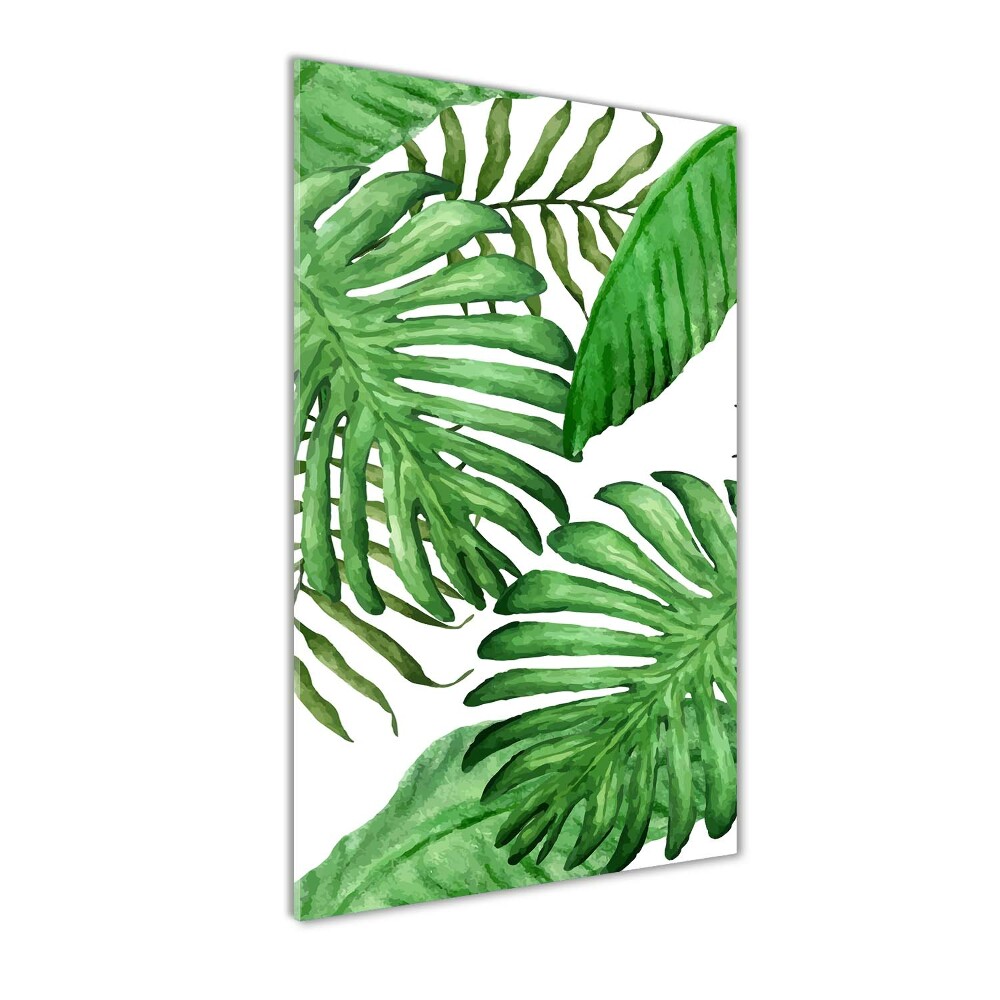 Acrylic glass print Tropical leaves