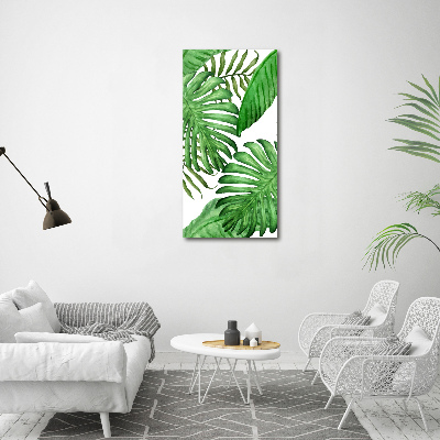 Acrylic glass print Tropical leaves