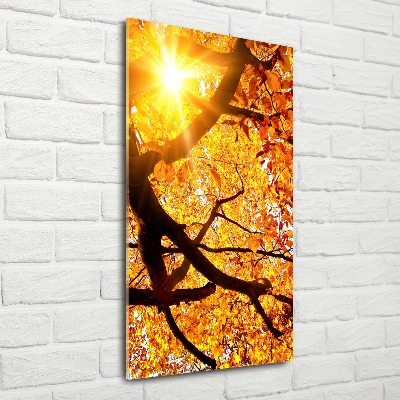 Print on acrylic Autumn tree