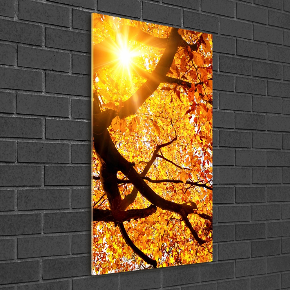 Print on acrylic Autumn tree