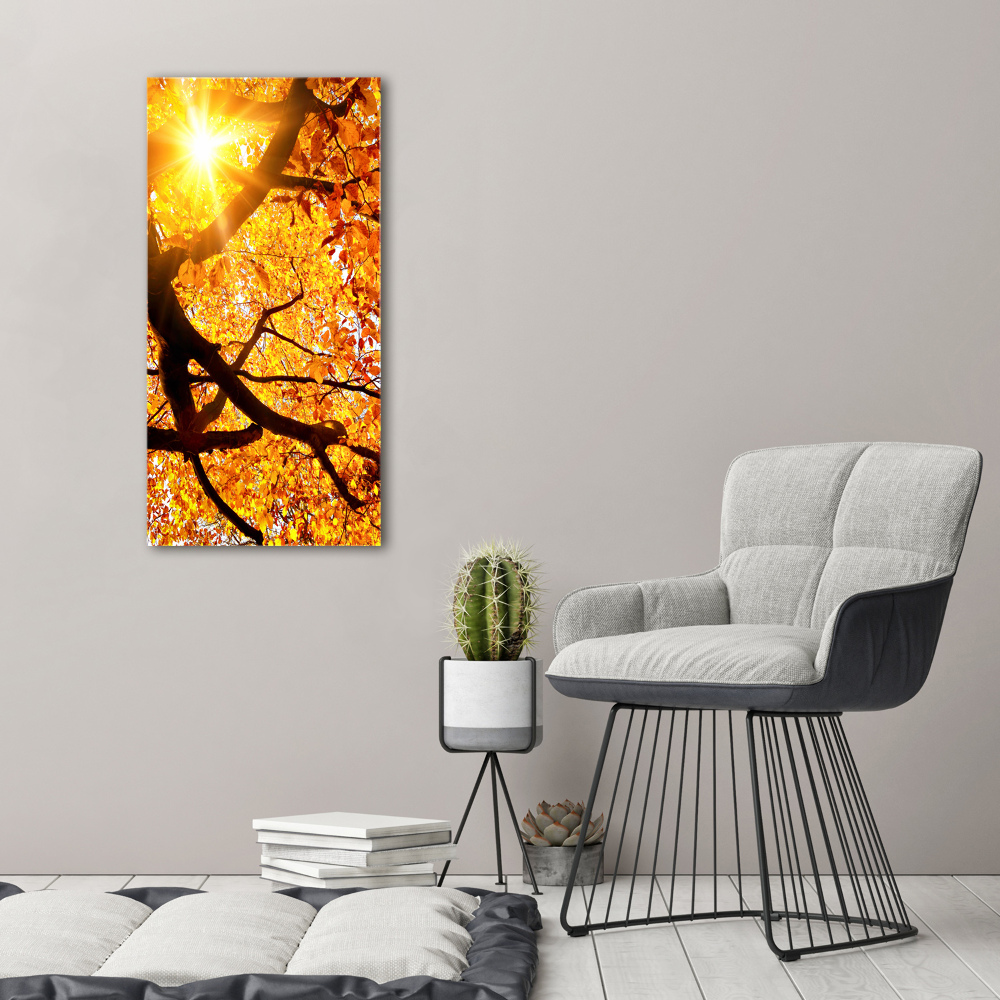 Print on acrylic Autumn tree