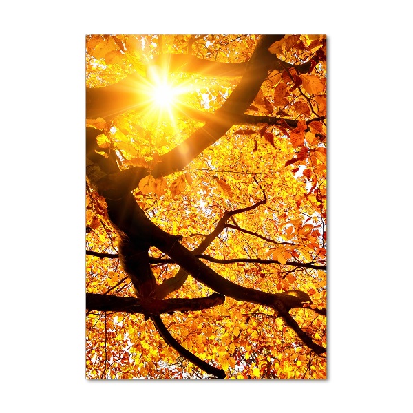 Print on acrylic Autumn tree