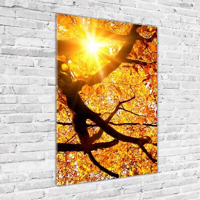 Print on acrylic Autumn tree