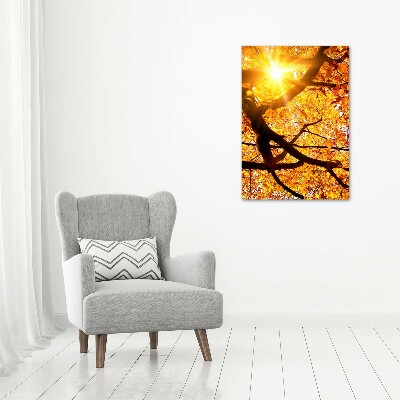 Print on acrylic Autumn tree