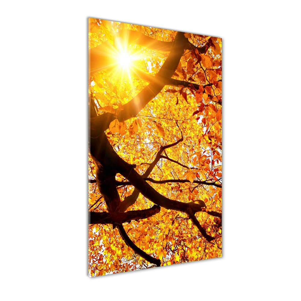 Print on acrylic Autumn tree