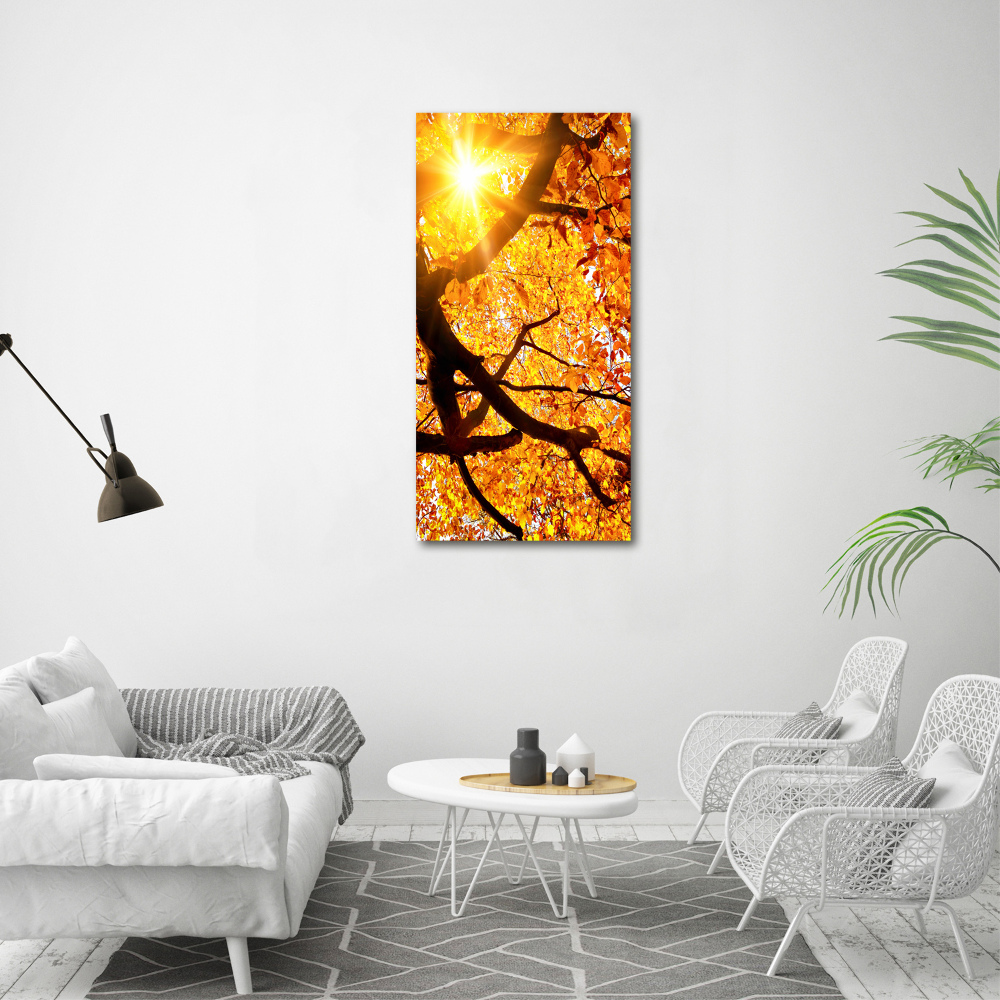 Print on acrylic Autumn tree