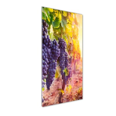 Print on acrylic Vineyard