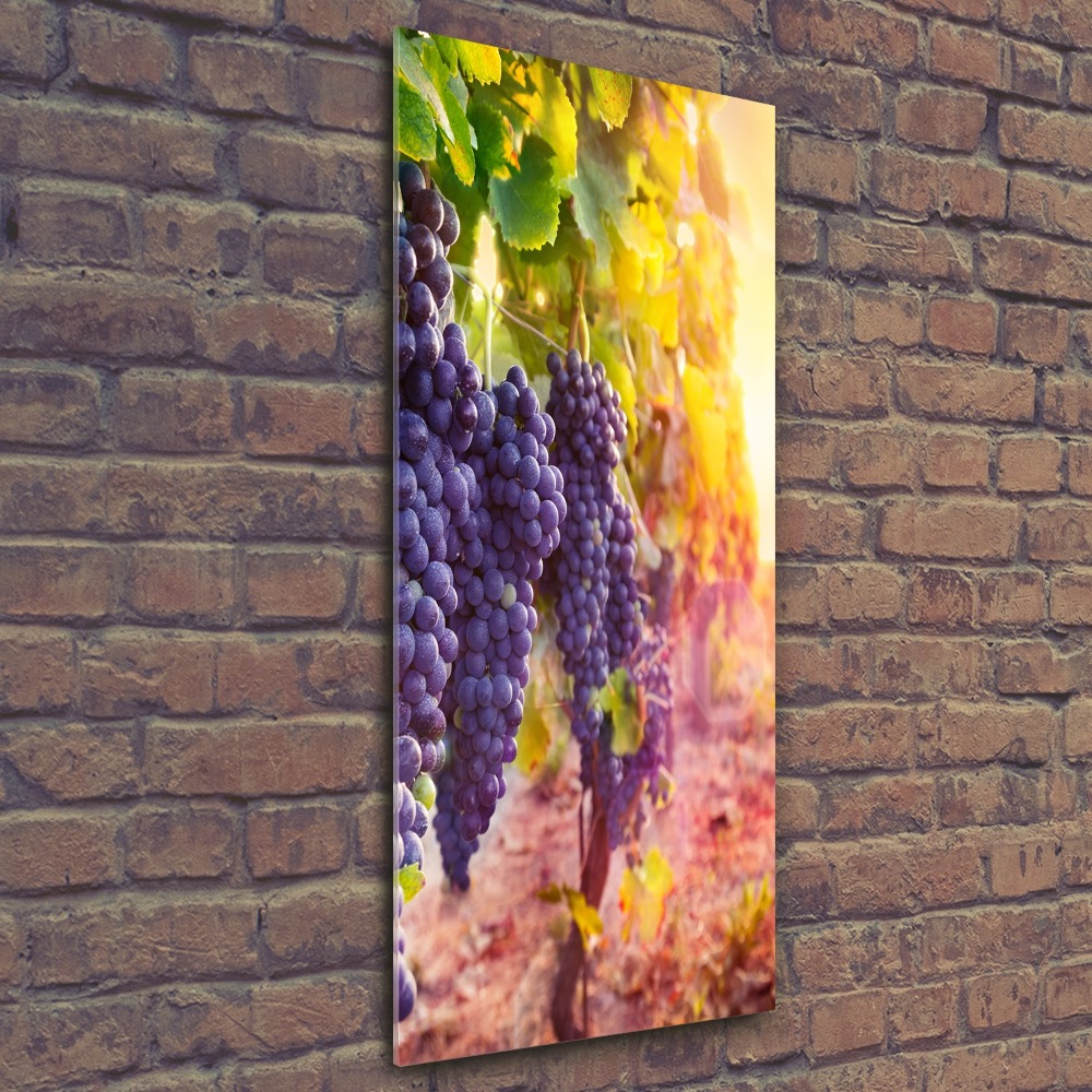 Print on acrylic Vineyard