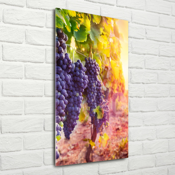 Print on acrylic Vineyard