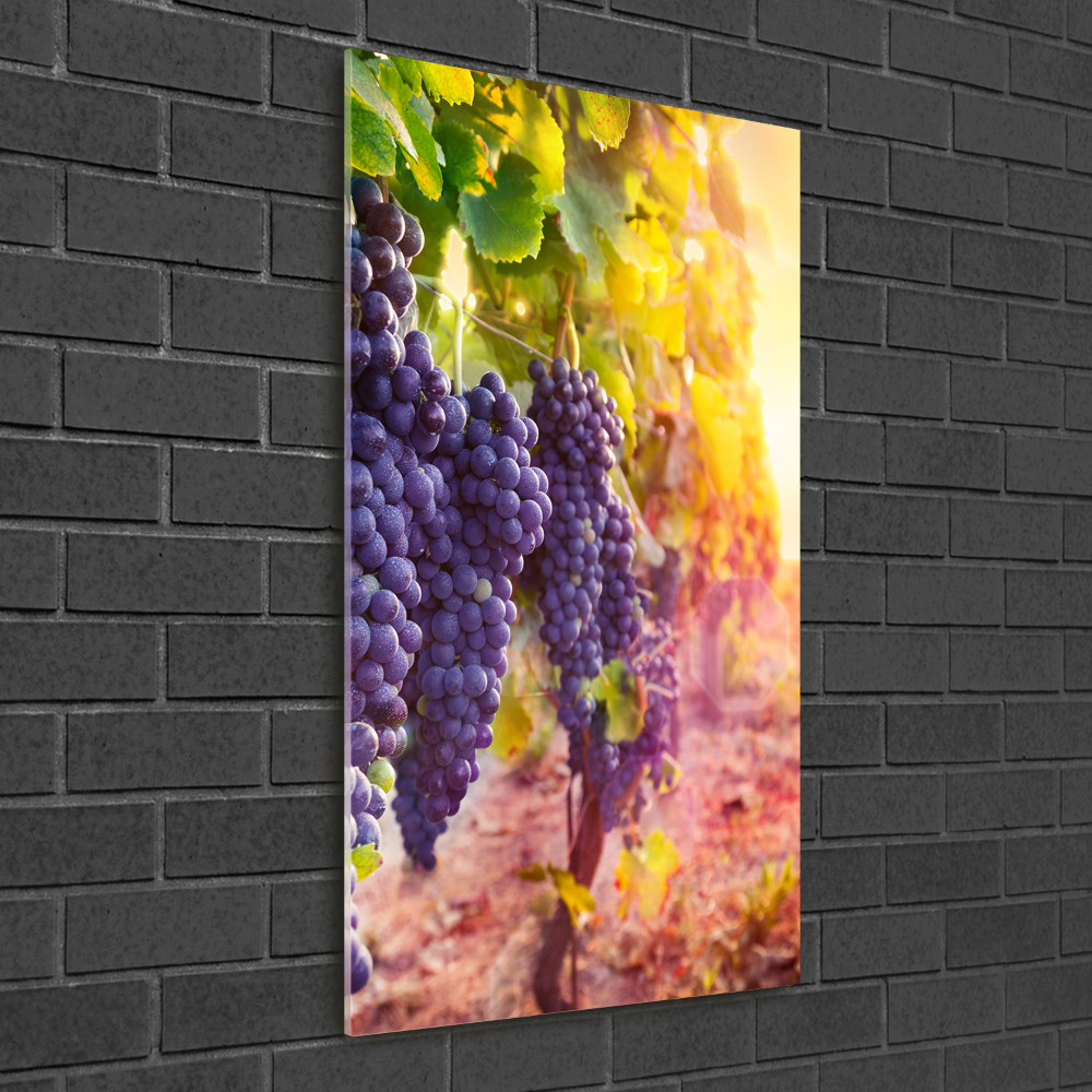 Print on acrylic Vineyard