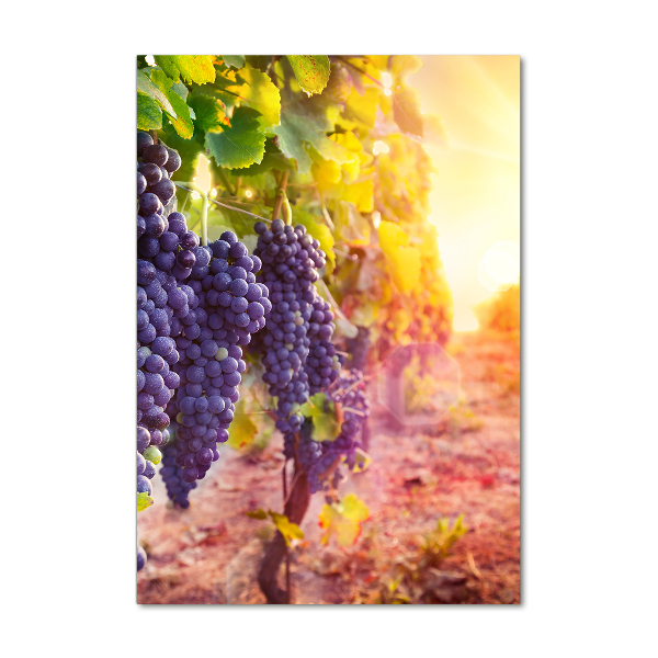 Print on acrylic Vineyard