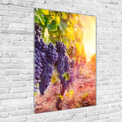 Print on acrylic Vineyard