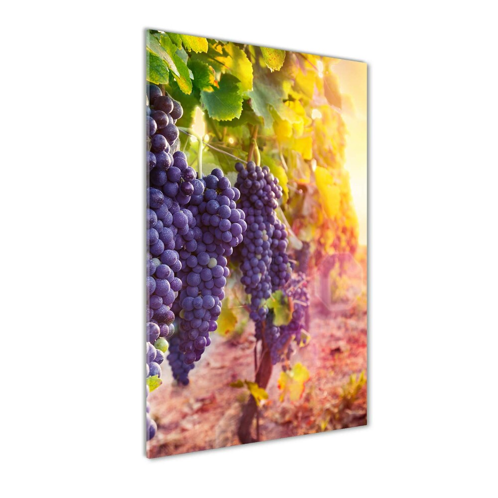 Print on acrylic Vineyard