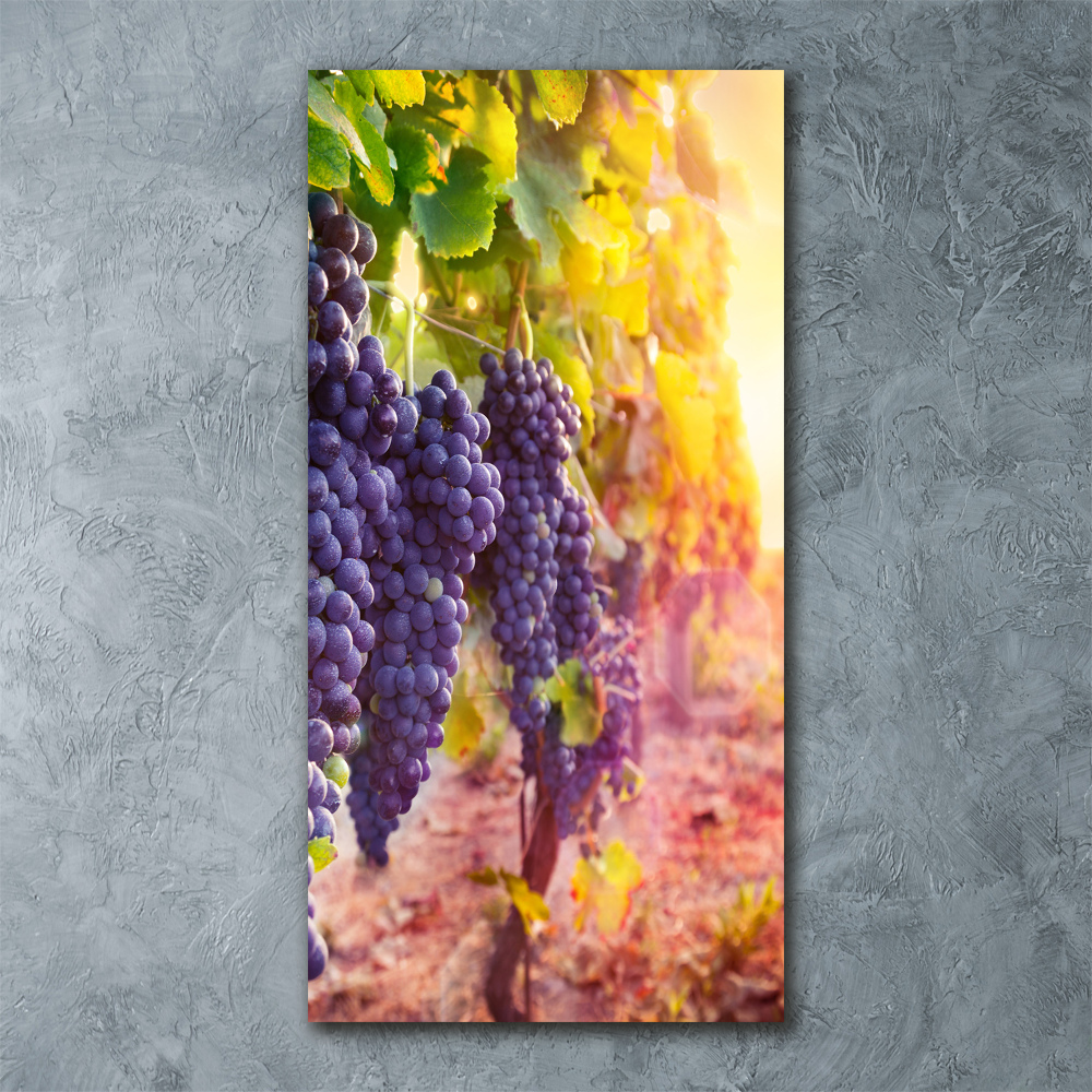 Print on acrylic Vineyard