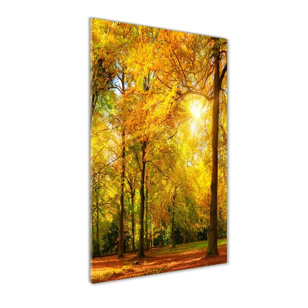 Forest in autumn