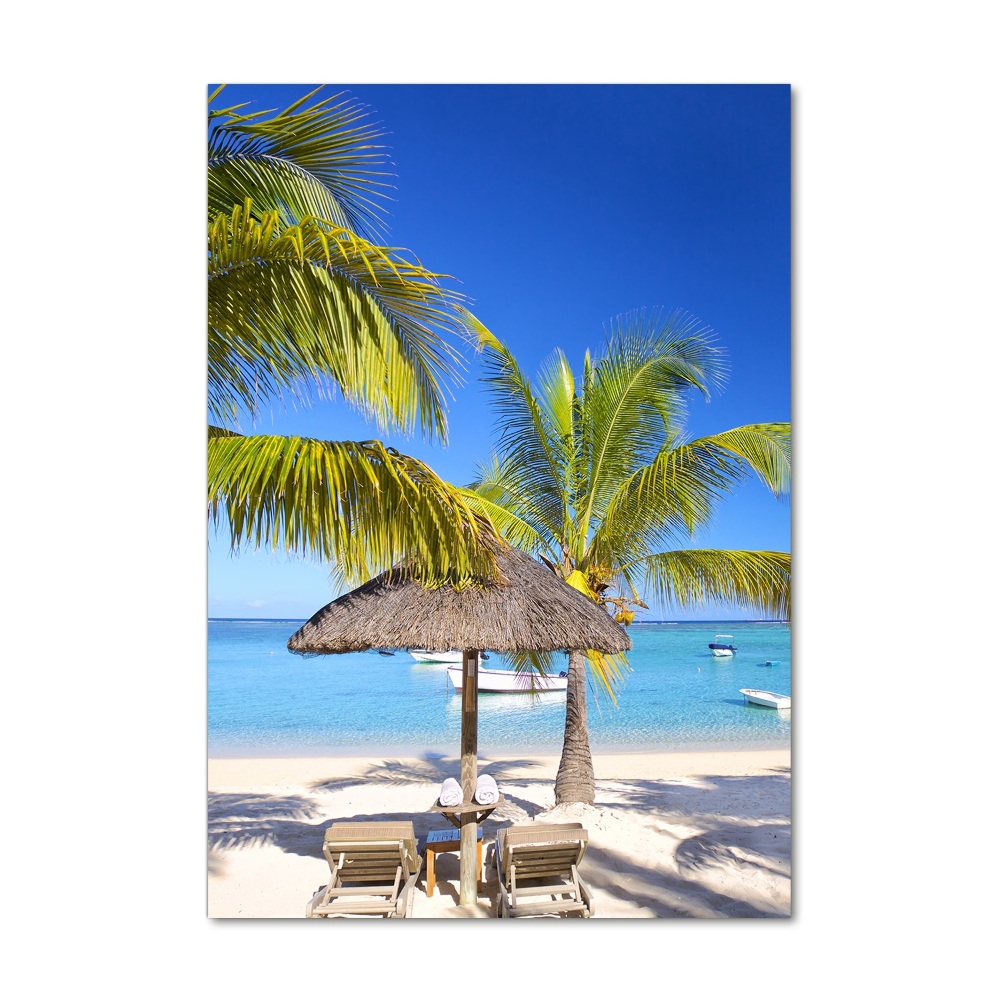 Acrylic wall art Tropical beach