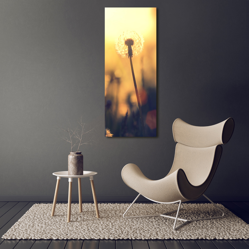 Print on acrylic glass Dandelion