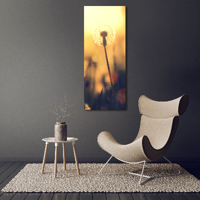 Print on acrylic glass Dandelion