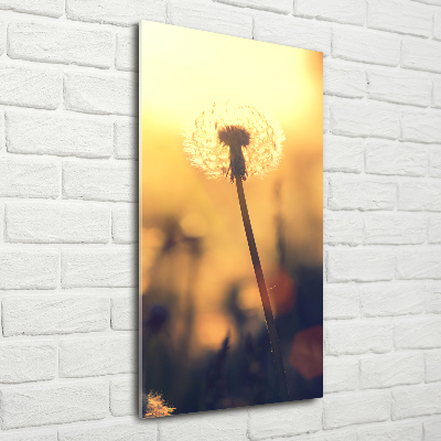 Print on acrylic glass Dandelion