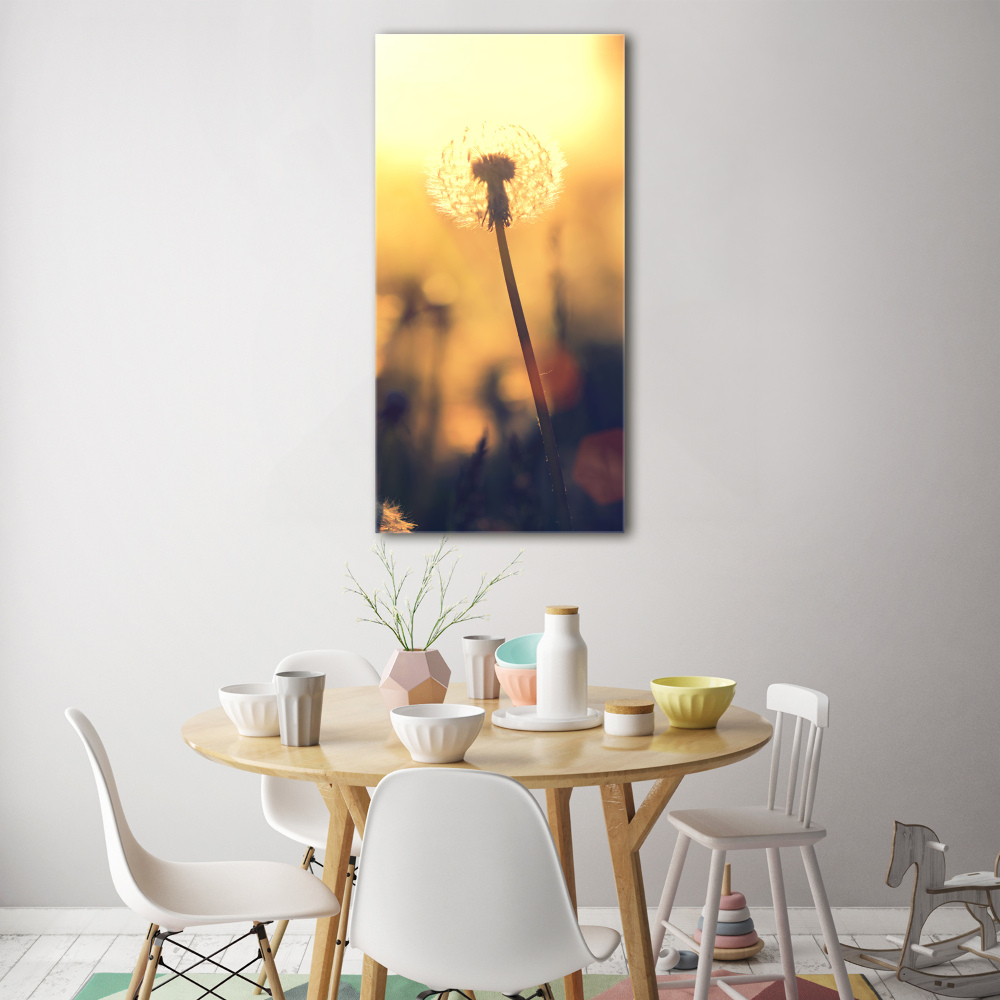 Print on acrylic glass Dandelion