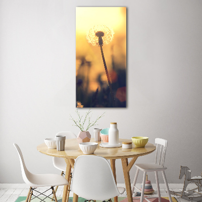 Print on acrylic glass Dandelion