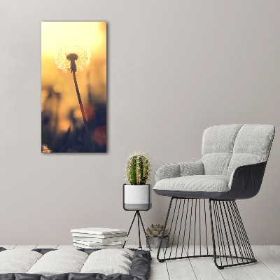 Print on acrylic glass Dandelion