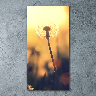 Print on acrylic glass Dandelion