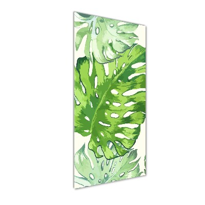 Acrylic glass print Tropical leaves