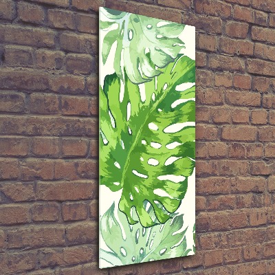 Acrylic glass print Tropical leaves