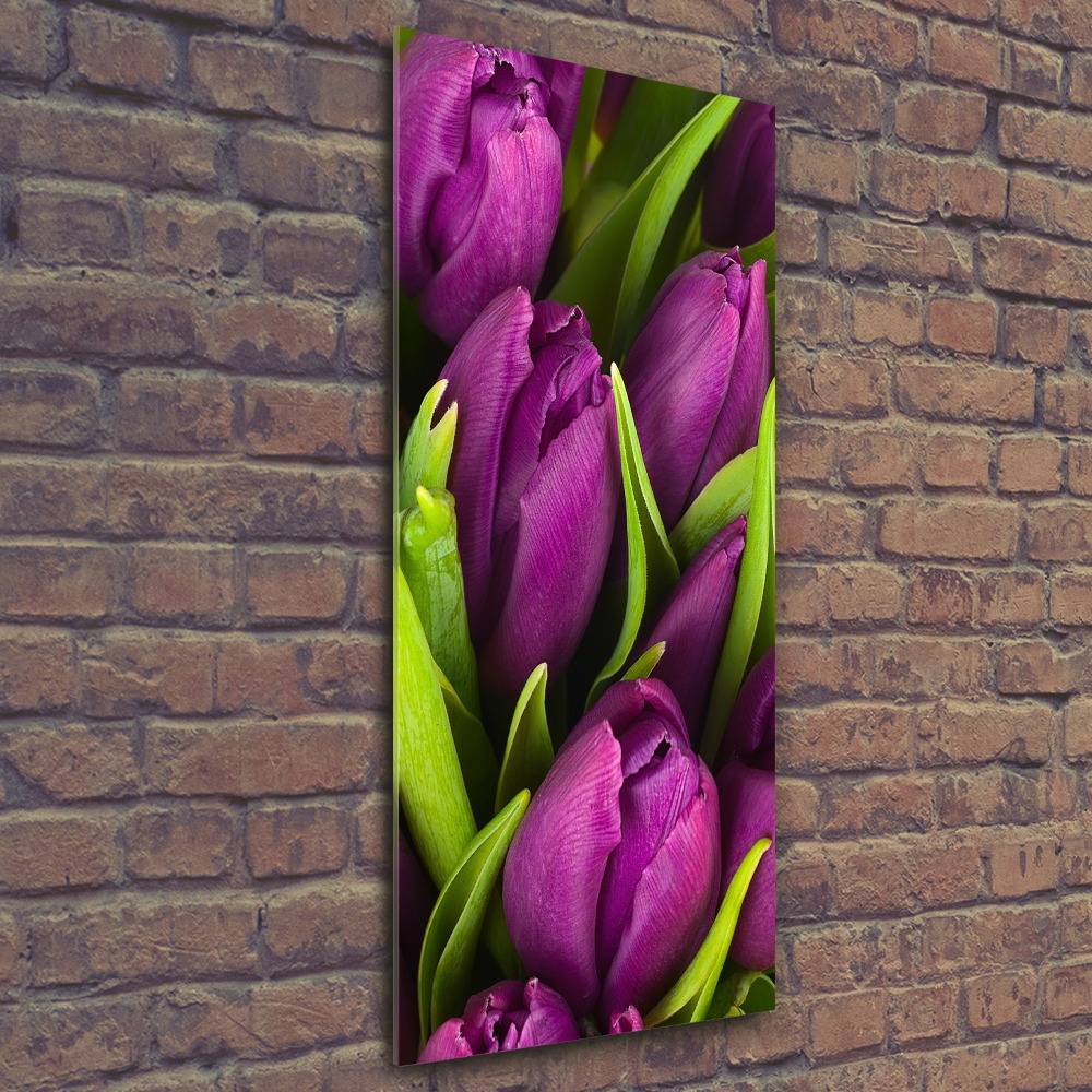 Print on acrylic glass Violet tulips