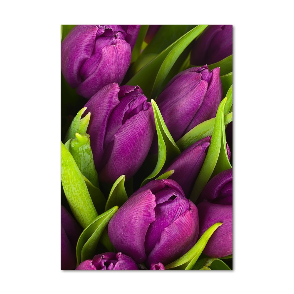 Print on acrylic glass Violet tulips