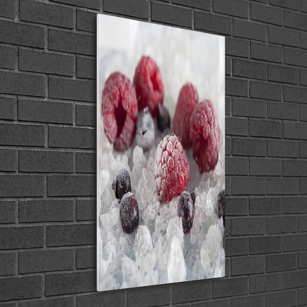 Acrylic print Frozen fruit