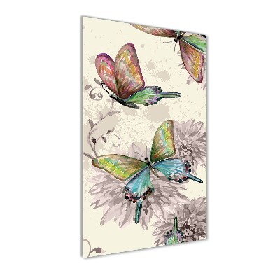 Print on acrylic Colorful butterflies