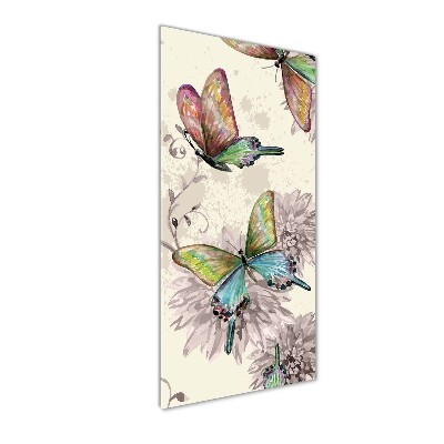 Print on acrylic Colorful butterflies