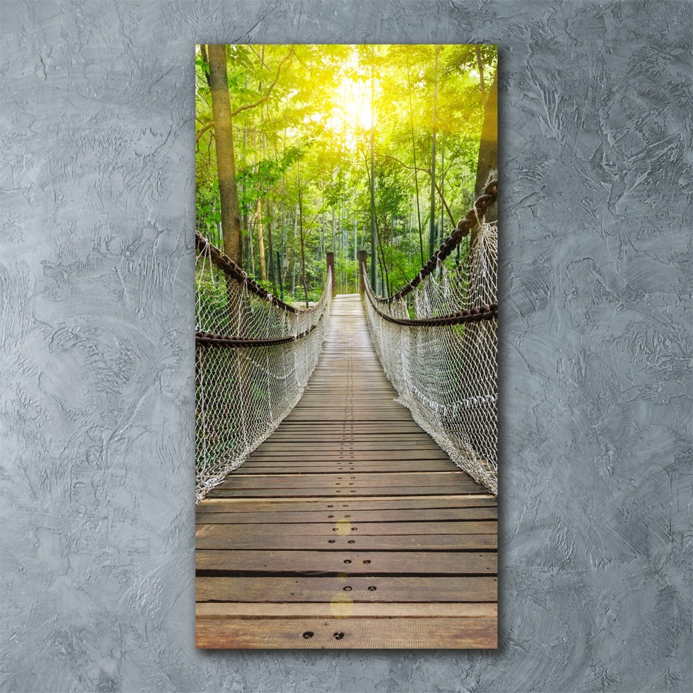 Print on acrylic Hanging bridge