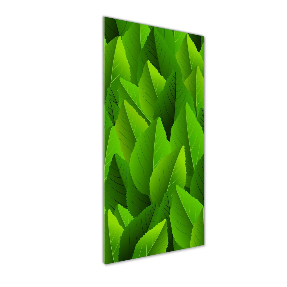 Acrylic glass print Green leaves