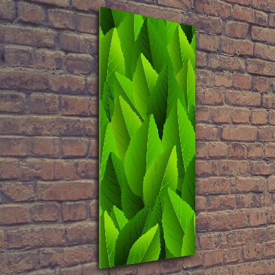 Acrylic glass print Green leaves