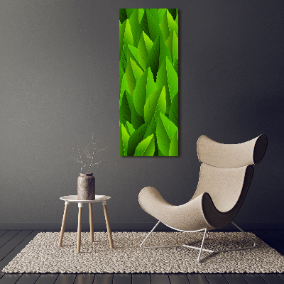 Acrylic glass print Green leaves