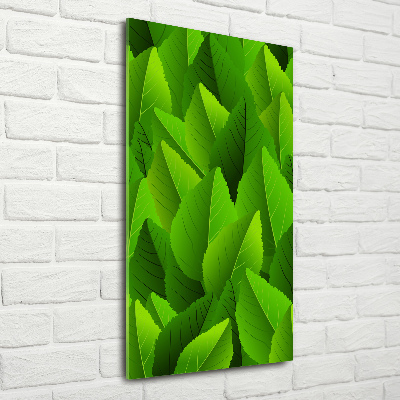 Acrylic glass print Green leaves