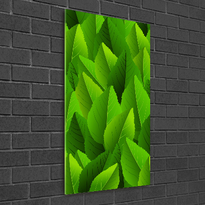 Acrylic glass print Green leaves