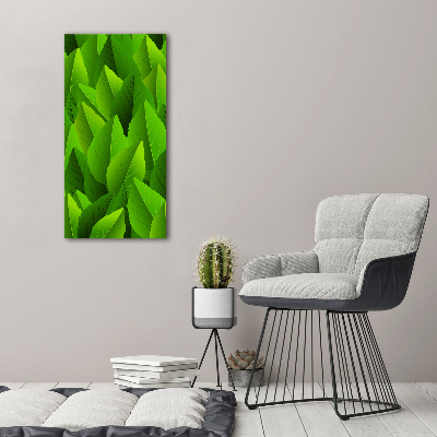 Acrylic glass print Green leaves