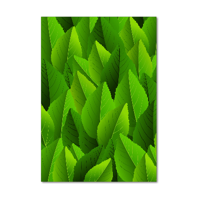 Acrylic glass print Green leaves