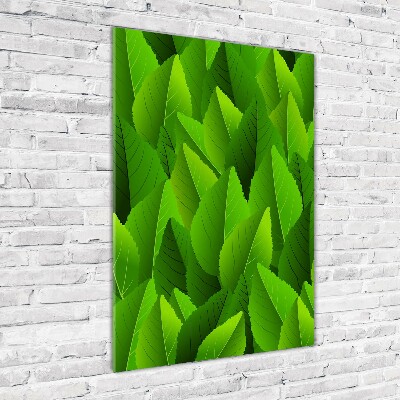 Acrylic glass print Green leaves